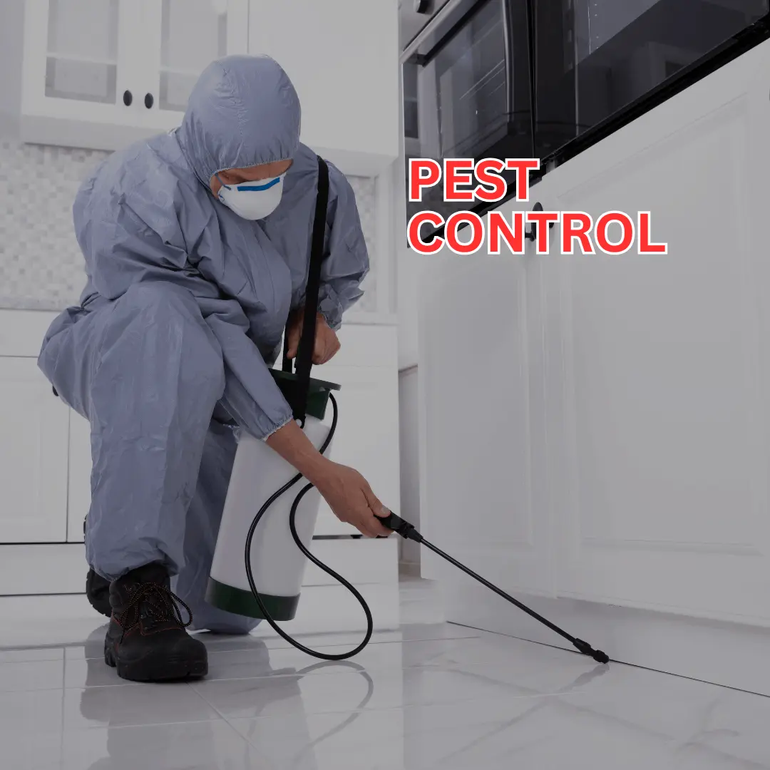 Pest Control Services